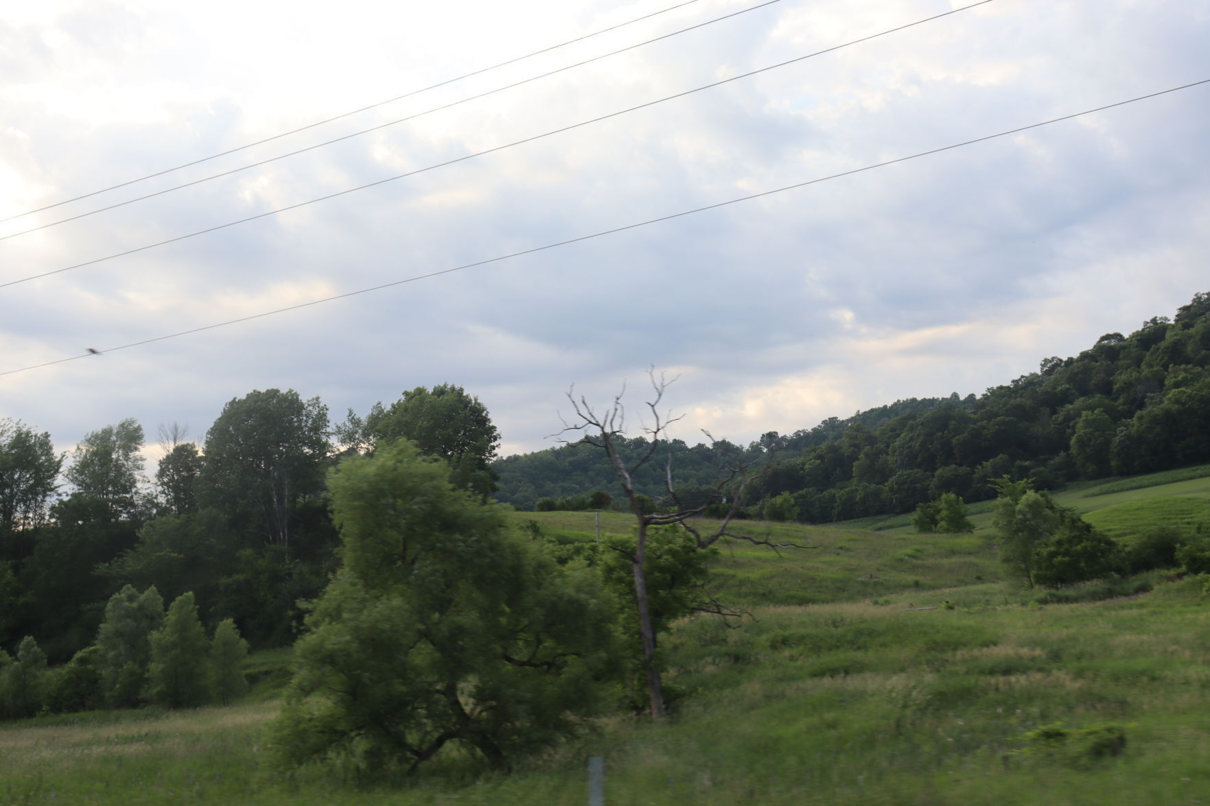 Hills
